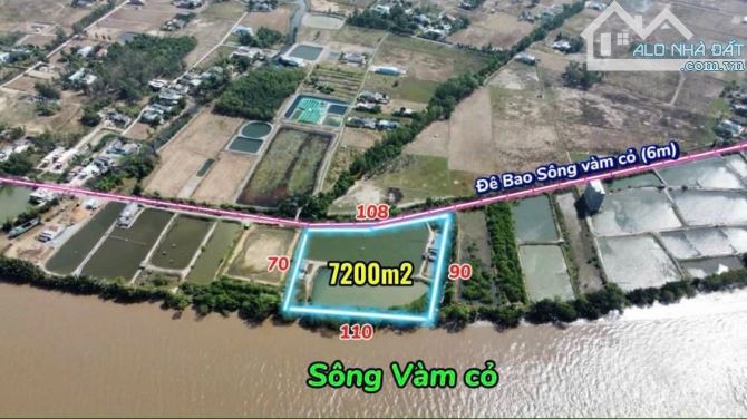 Đất lúa giáp mặt tiền sông và đê bao sông Vàm Cỏ Đông DT: 110x70m