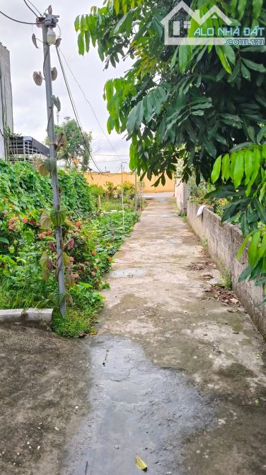 🏡 BÁN ĐẤT ĐẸP MINH KHA – ĐỒNG THÁI