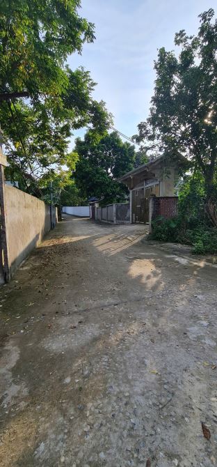 Bán 128m2 Tam Quan, Tam Đảo giá 680tr.