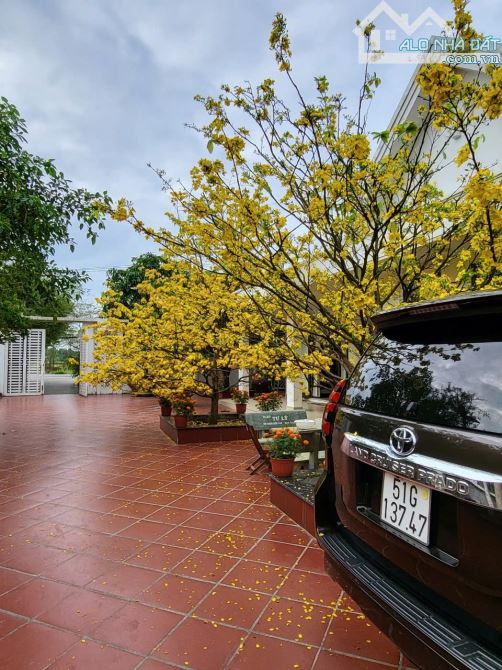 Bán đất có sẵn biệt thự vườn 2.031m2 (trong đó có gần 200m2 thổ cư) xã Đa Phước, BC