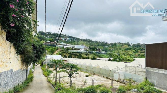 429M2 ĐẤT BIỆT LẬP - VIEW ĐỒI CÁP TREO AN BÌNH CỰC ĐẸP - KHU DÂN CƯ YÊN TĨNH AN NINH TỐT