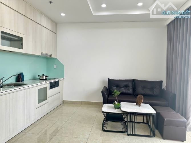 Cho thuê căn hộ 1 phòng ngủ giá 11tr tại chung cư cao cấp Minato - 10