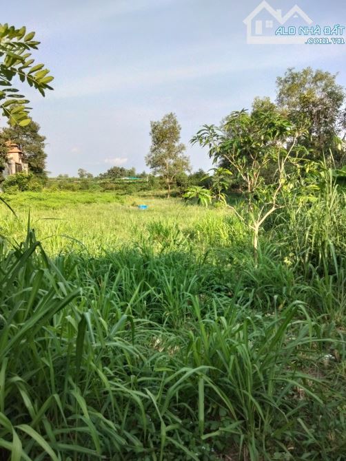 3.700m² – trong đó 1.400m² thổ cư, Tóc Tiên Phú Mỹ Vũng Tàu, 2 mặt tiền đẹp, chỉ 10 tỷ! - 1