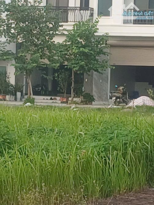Mua bán nhà đất thổ cư giãn dân Hưng Yên giao dịch mua bán sang tên sổ đỏ chính chủ - 1