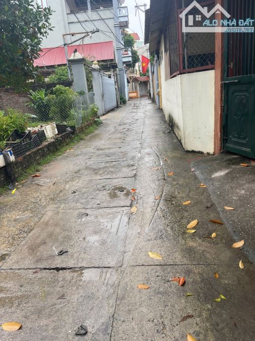 HAI BỐI Gần bìa làng,Cách 50m ra  đường quy hoạch ven sông mở rộng 17m.Đường trải nhựa sạc - 1