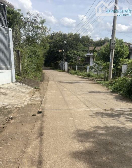 🌈Đất Dài Đẹp Hẻm Đường 19/5 (5x63m👉1.9 tỷ) - 1