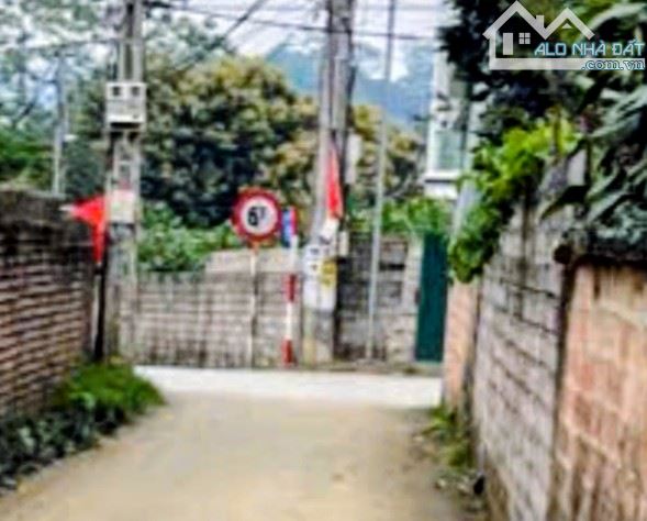 Bán đất Tản Lĩnh, Suối Hai, Ba Vì, 541m, lô góc, nở hậu, 50m ra đg chính, 3.2tỷ - 1