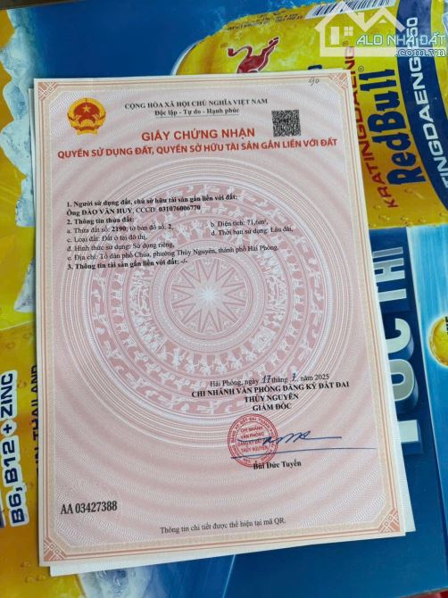 Chính chủ gửi bán Lô Đất siêu đẹp, mặt đường Hoa Động - Mặt đường nhựa apphan rộng 9m - 1