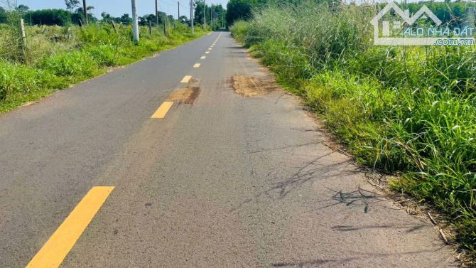 BÁN HƠN 500M2 ĐƯỜNG NHỰA HẠM DUY TRINH - XÃ ĐẤT ĐỎ.BRVT GẦN TL52 - 1