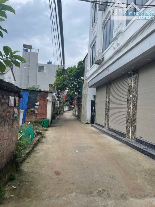 Cần bán 65m2 đất trục chính thông ô tô tại Phường Chương Mỹ - 1