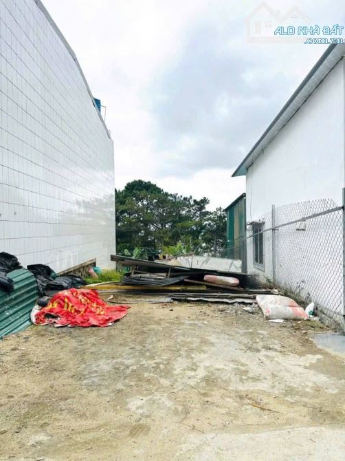 CỰC HIẾM: Chỉ 6,5 tỏi sở hữu lô đất view thông, thành phố Đà Lạt ngay trung tâm.