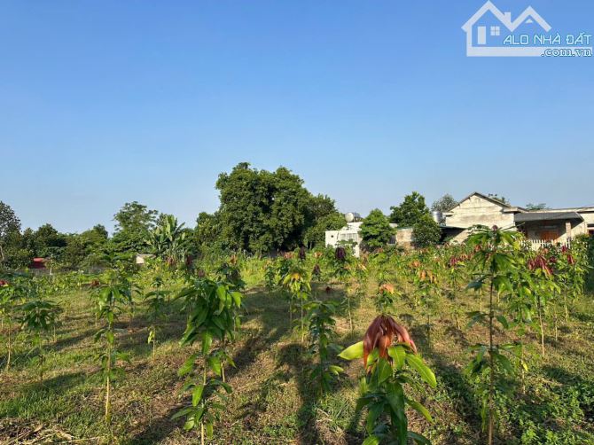 Đất đẹp đường to lô  góc 2 mặt tiền  2227M/300M ONT tại trục chính Cư Yên giá bán đầu tư - 1