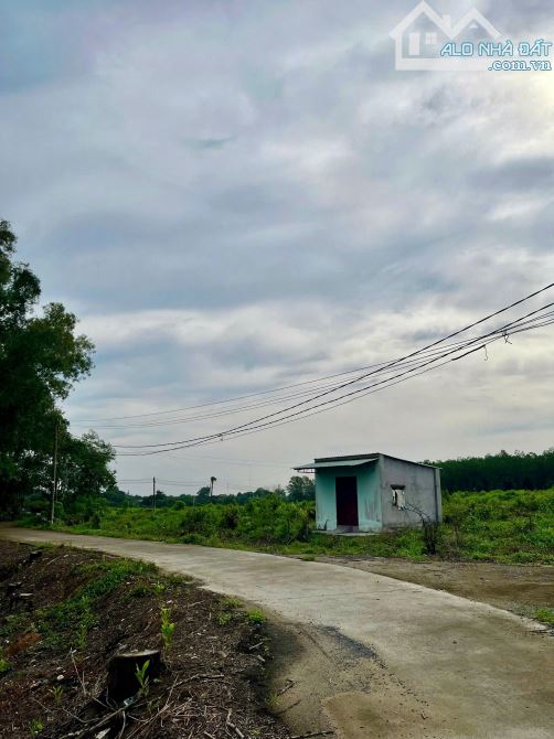 Bán đất lớn mặt tiền nhiều tại Thạnh Phú Vĩnh Cửu Đồng Nai - 1