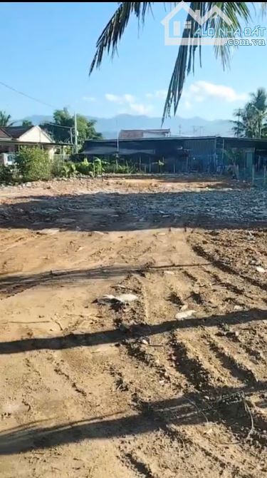 BÁN ĐẤT TỈNH LỘ DIÊN THỌ NGANG 12,5M CHỈ 2TỶ8 RỘNG 470M - 1