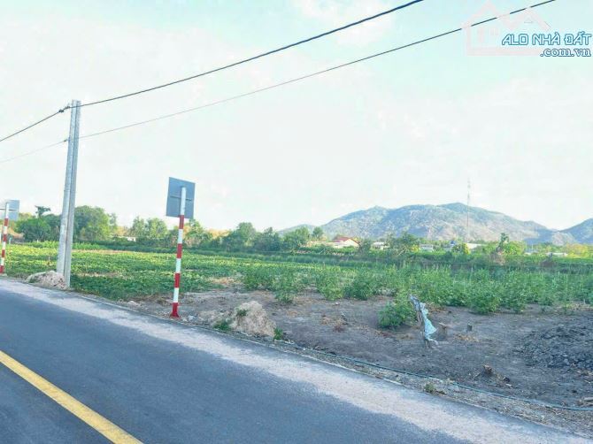 🏞️ Bán Đất Long Mỹ, Đất Đỏ 1473m², Cách Biển 3km, View Núi Minh Đạm, Giá 4.5 Tỷ - 1