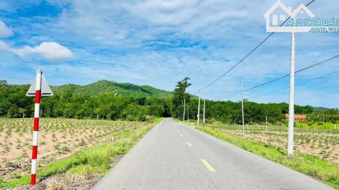 🌳 Bán Đất Long Mỹ - Phước Hải Đất Đỏ BRVT, 1800m², Quy Hoạch Đất Ở, Gần Biển - 1