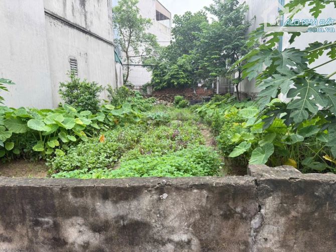 Bán gấp 55 m2/ thực tế 61 m2 đất Xuân Đỗ, ô tô, mặt tiền rộng, cách 2 nhà ra ô tô tránh - 1