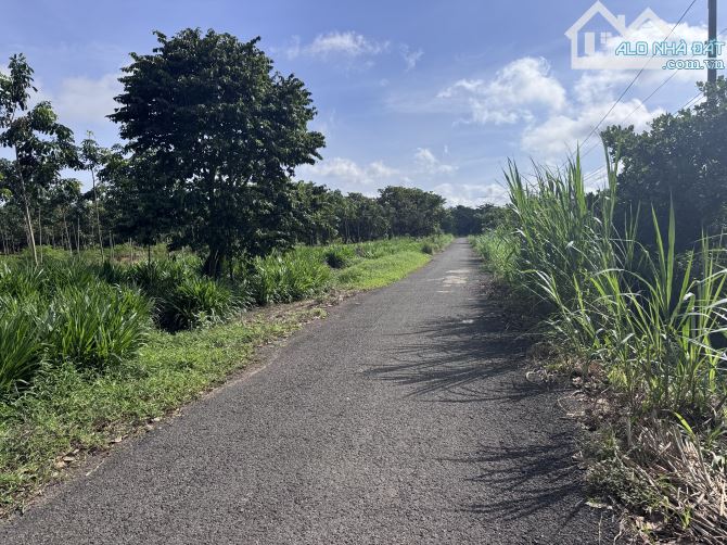 🔥 BÁN GẤP 2,2HA VIEW SÔNG BÉ – MẶT TIỀN NHỰA, DÂN CƯ HIỆN HỮU, GIÁ CHỈ 3,9 TỶ – CƠ HỘI VÀ - 1