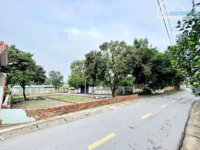 Bán đất trục chính Cổ Đông – Phúc Lộc, xã Đoài Phương, Hà Nội - 1