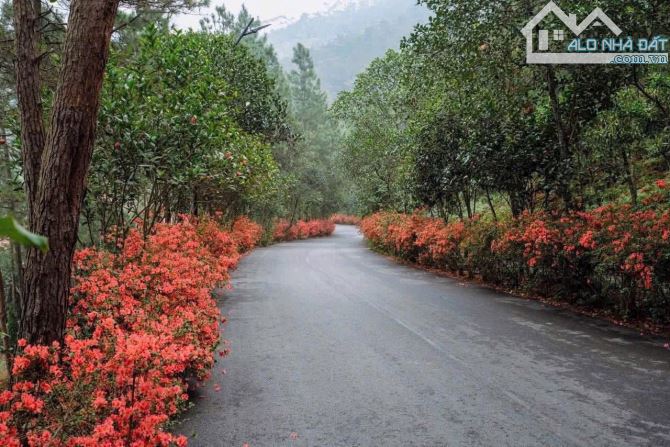 Sở hữu ngay biệt thự độc bản tại Thanh Xuân Valley, cách trung tâm Hà Nội chỉ 40