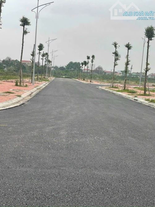Bán lô đất mặt Lý Anh Tông-Khúc Xuyên.dt.82,5m.mt.5m.hướng Tây.giá:4,75 tỷ - 1