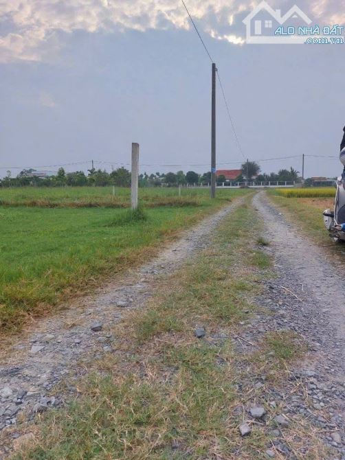 Đất ngộp giá rẻ ngay  Cầu Láng Ven, xã Hòa Khánh Đông, 5x40 (200m2), giá 900 triệu nền - 1