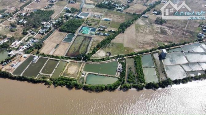 Đất lúa giáp mặt tiền sông và đê bao sông Vàm Cỏ Đông DT: 110x70m - 1