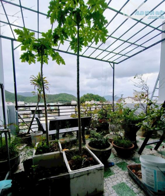 Bán Nhà 5 Tầng Mặt Tiền Kinh Doanh Hà Thanh 1 Phường Quy Nhơn, 50m2 Ngang 5m, Giá 4 Tỷ xyz - 1