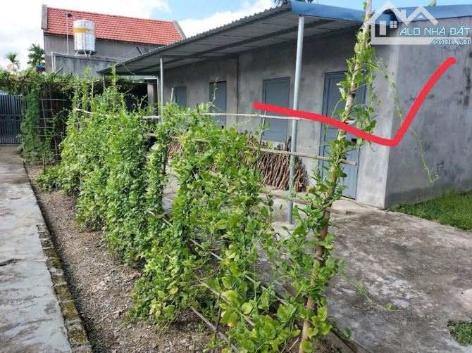 💥💥💥 Bán 100m2 Đất Tân Dương, Phường Thuỷ Nguyên, Gần TTHC, Có Sẵn Nhà Tạm 💥💥💥 - 1