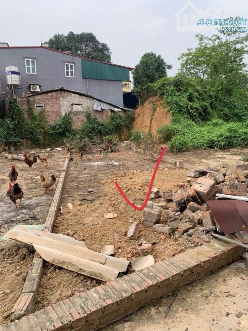 BÁN ĐẤT NỀN 53.7 M2, XÓM MÍT, CỔ LOA, CỘC NÔNG, Ô TÔ, GẦN CHỢ - 1