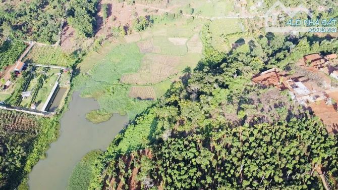 LÔ 5700m2 ĐẤT THỔ CƯ MẶT HỒ ĐẠT LÝ 6.5Tỷ - 1