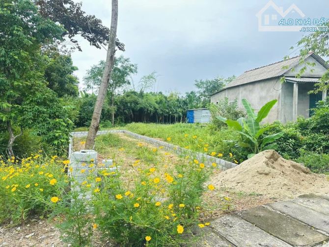 Đất Gần Ngã Tư Đèn Đỏ – Quảng Vinh 💥 Cao ráo – Gần chợ, ủy ban – Giá chỉ 5xx triệu - 1