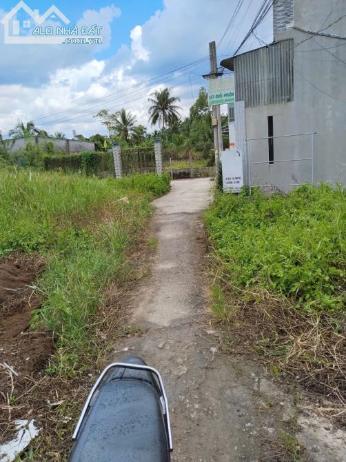 BÁN ĐẤT ẤP ĐỒNG – PHƯỜNG TRUNG AN – TP. MỸ THO – TIỀN GIANG - 4