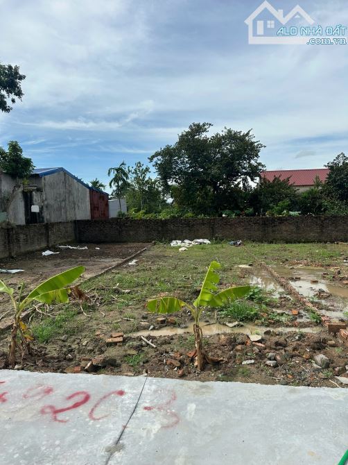 🌳Lô Đất Kiều Hạ – Quốc Tuấn – An Dương 54m². Ngõ Ô Tô Tận Nơi - giá chỉ 750tr - 3