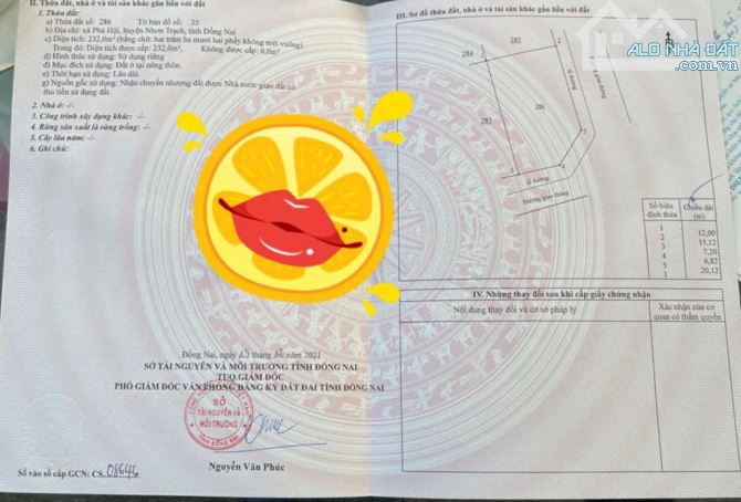 CẦN THANH LÝ GẤP LÔ GÓC NGAY VÒNG XOAY, SHR, GIÁ TỐT - 3