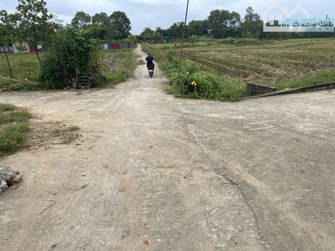 Chính chủ gửi bán lô đất vàng tại sóc Sơn - 2
