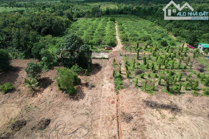 2,8hecta đất view suối đẹp sổ sẵn tại quảng hiệp giá chỉ 2,2tỷ - 2