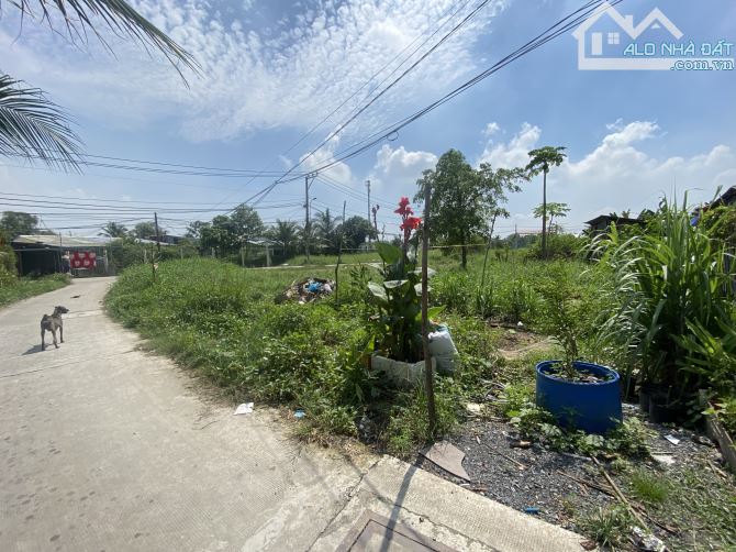 Cần bán nền 173m2 góc 2MT xã An Phú Tây - 2