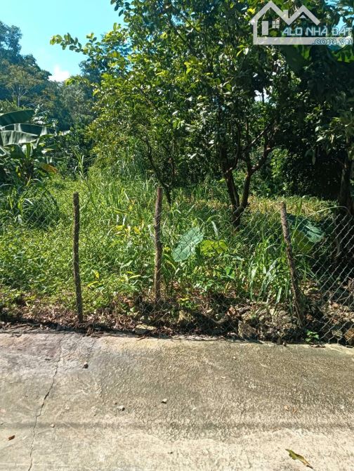 Bán đất Tản Lĩnh, Suối Hai, Ba Vì, 541m, lô góc, nở hậu, 50m ra đg chính, 3.2tỷ - 2