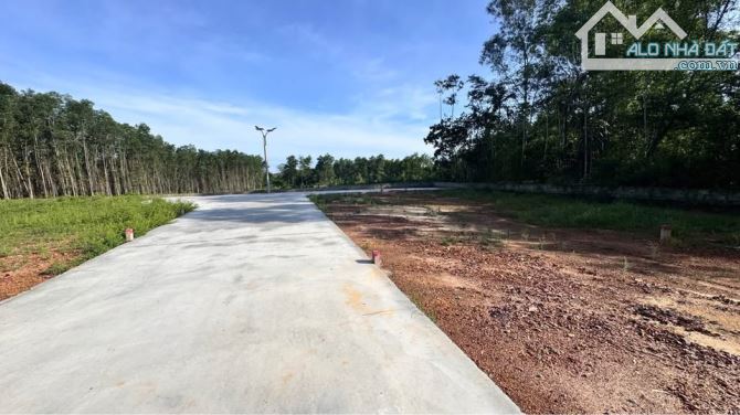 Đất nền An Tây ngang 6,3m ô tô tránh nhau đón đường lớn 19,5m - 2