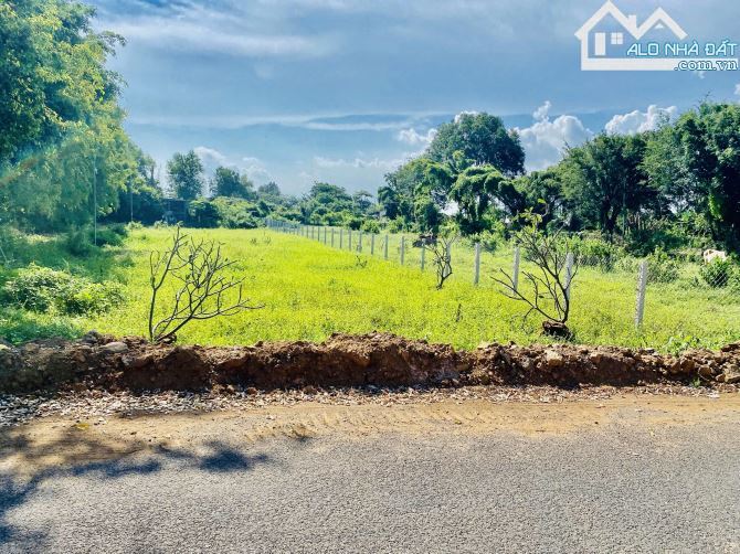 🌴 Bán đất 1055m² gần biển Phước Hải, cách TL44B 100m, giá chỉ 3,3 tỷ 🌊 - 2