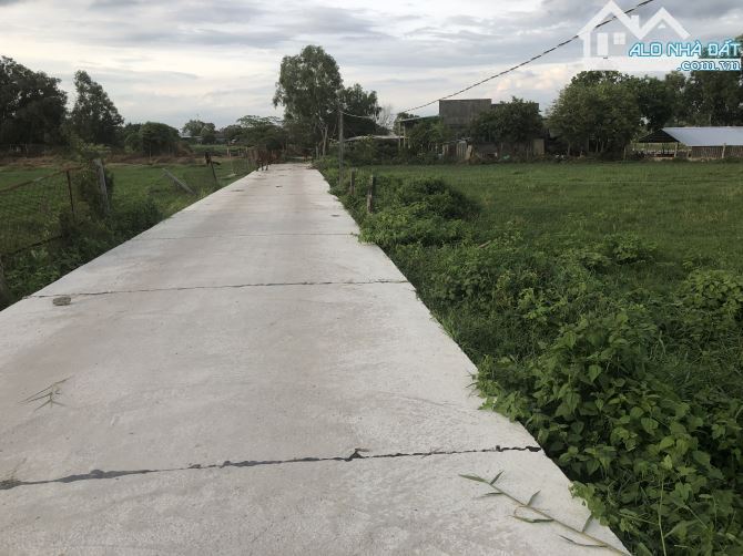 🌿 Bán đất 3550m² TT Phước Hải, 81m mặt tiền, gần biển, giá chỉ 1.4 triệu/m² - 2