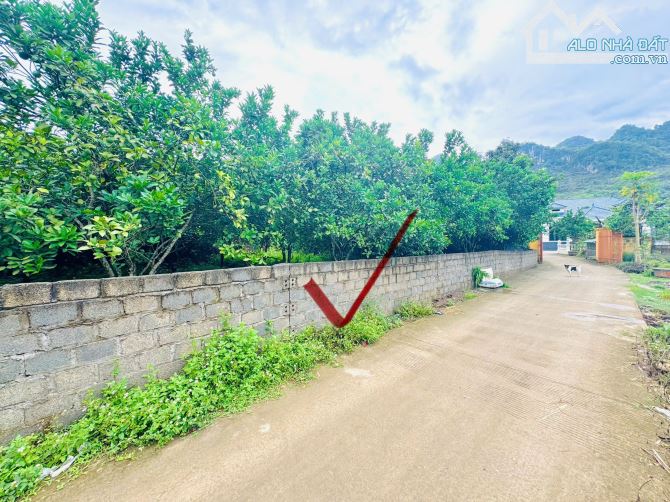 914m Có 400m Đất Ở - Cách Đường 12B Đúng 400m - Trên Đất Trồng Full Bưởi - View Cánh Đồng - 2
