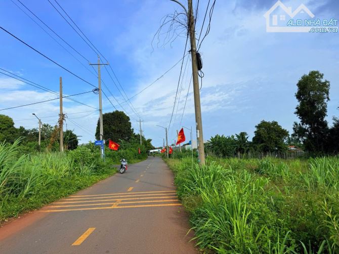 BÁN ĐẤT MẶT TIỀN NHỰA TRỊNH HOÀI ĐỨC- SAU TRƯỜNG CAO ĐẲNG TRUNG TÂM TT ĐẤT ĐỎ. TIỆN ÍC - 2