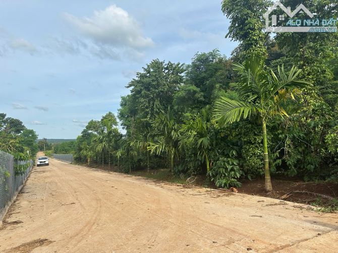 Đất góc 2 mặt tiền  cách ngã 3 cây phượng chỉ 1km - 2