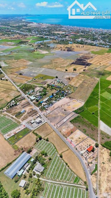 🏞️ ĐẤT PHƯỚC HẢI TP HCM – VỊ TRÍ ĐẮC ĐỊA, VIEW NÚI MINH ĐẠM – GIÁ 4.3 TỶ - 2