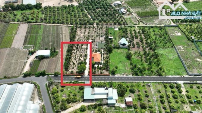 🌳 SIÊU ĐẸP – ĐẤT XÃ PHƯỚC HẢI TP HCM, CÁCH BIỂN CHỈ 3KM – 1000M² GIÁ 5 TỶ - 2