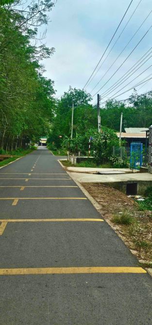Chính chủ cần bán 600m2 Nhà đất HCM giá 520tr. - 2