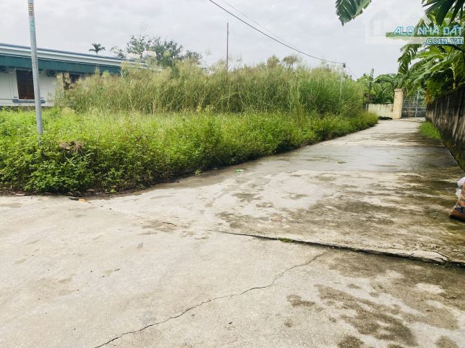 700tr sở hữu đất Văn Tố, Tứ Kỳ, Hải Dương. Lô Góc đường oto vào. - 2