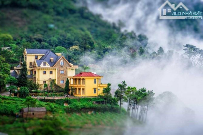 BÁN ĐẤT TT TAM ĐẢO, 517M2 ĐẤT LÂU DÀI, 4 MẶT THOÁNG. - 2